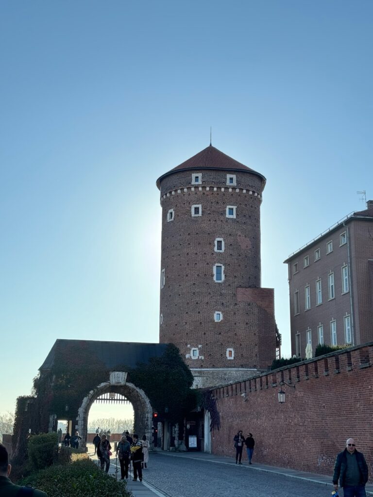 Poland article - 116