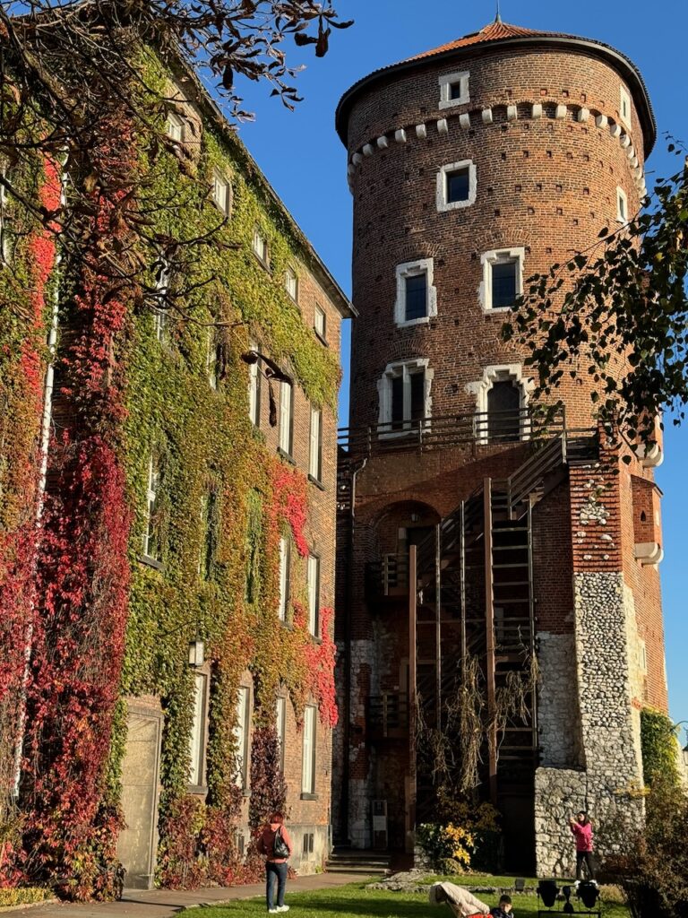 Poland article - 117