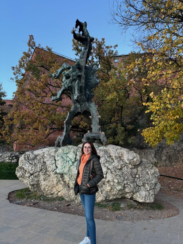 Poland article - 121