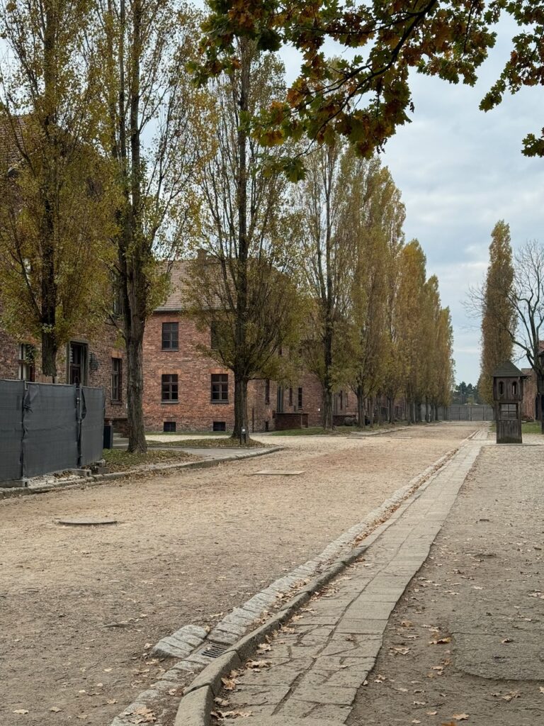 Poland article - 129