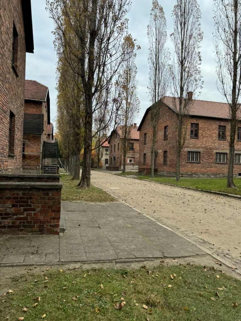 Poland article - 131