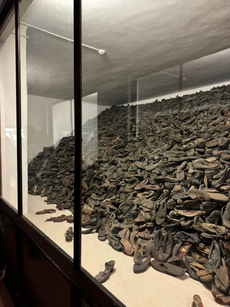 Poland article - 133