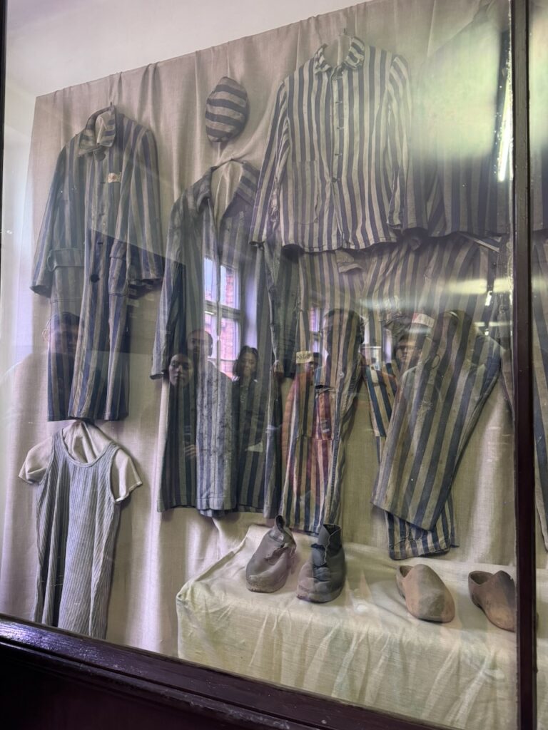 Poland article - 135