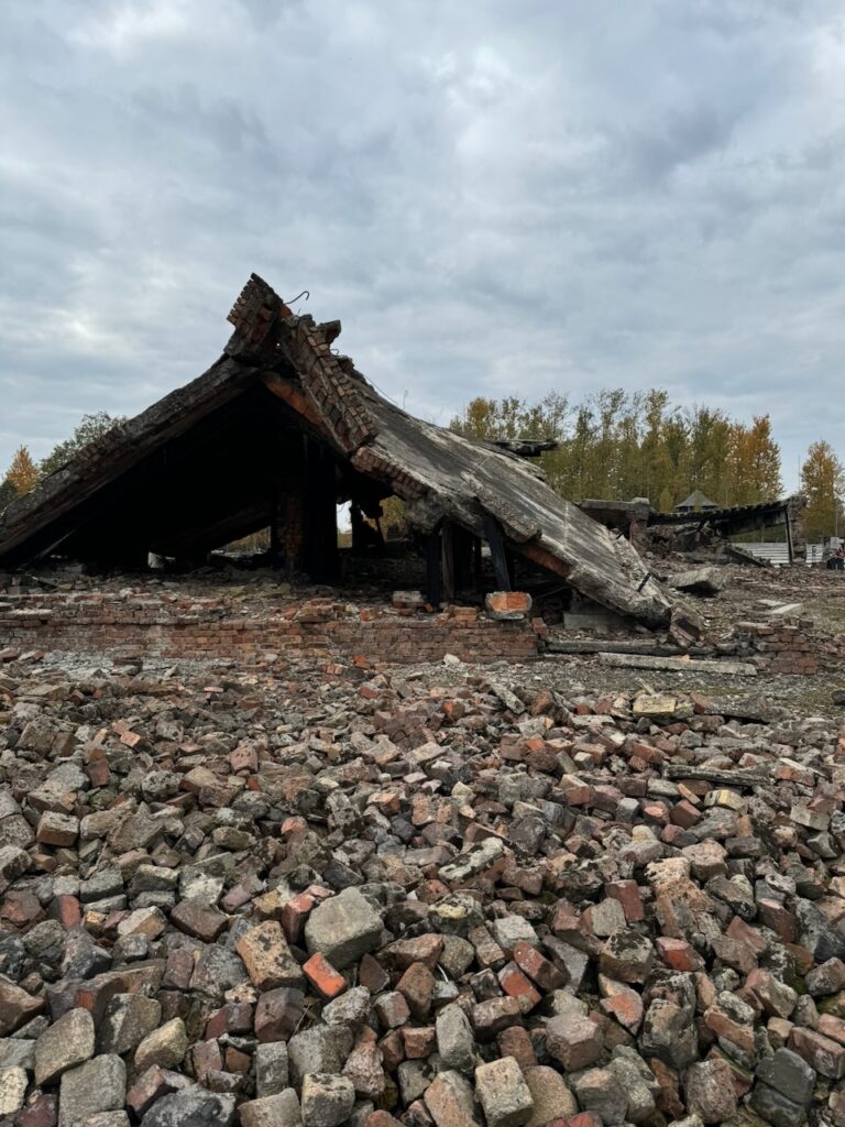 Poland article - 138