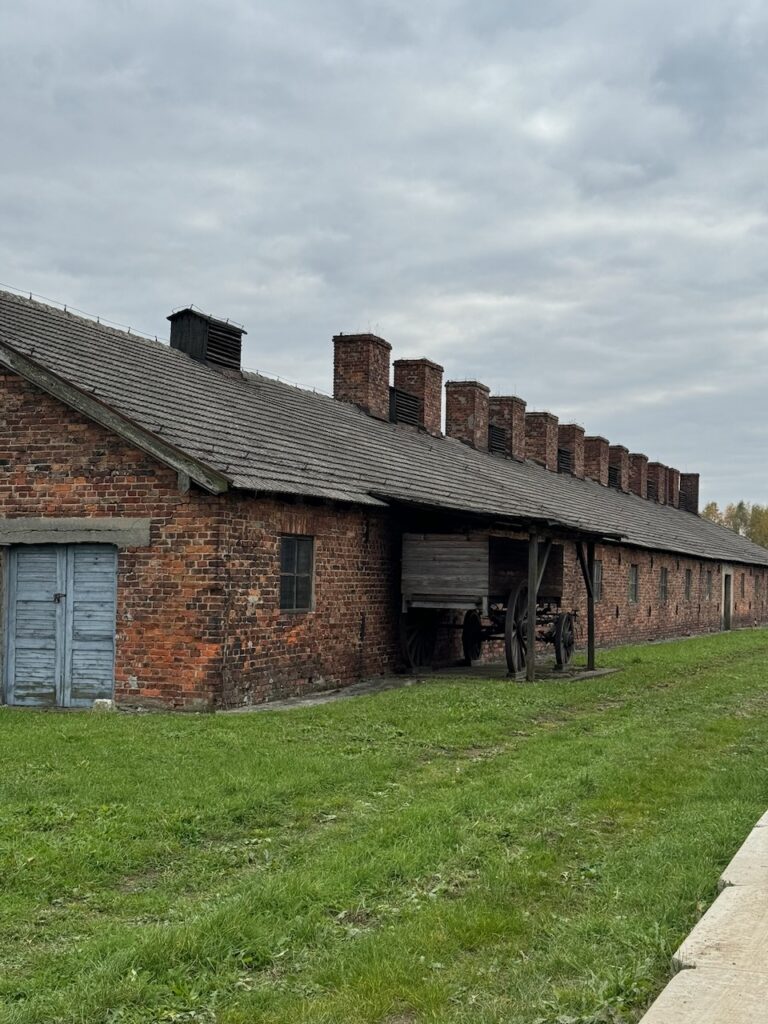 Poland article - 139