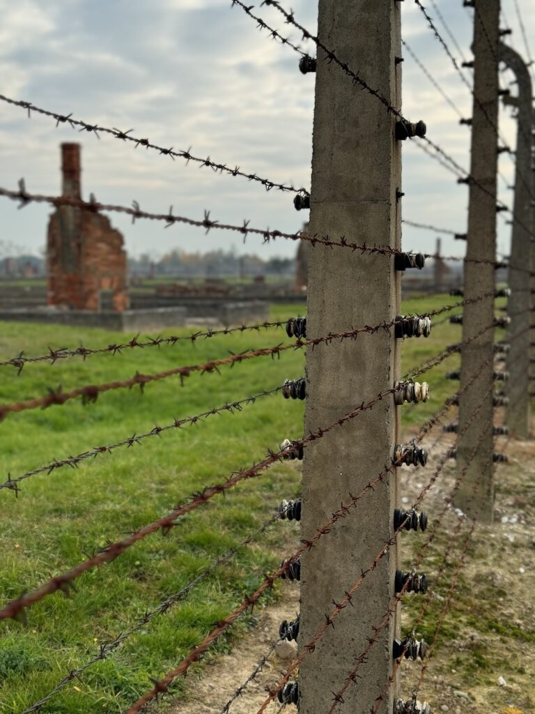 Poland article - 141