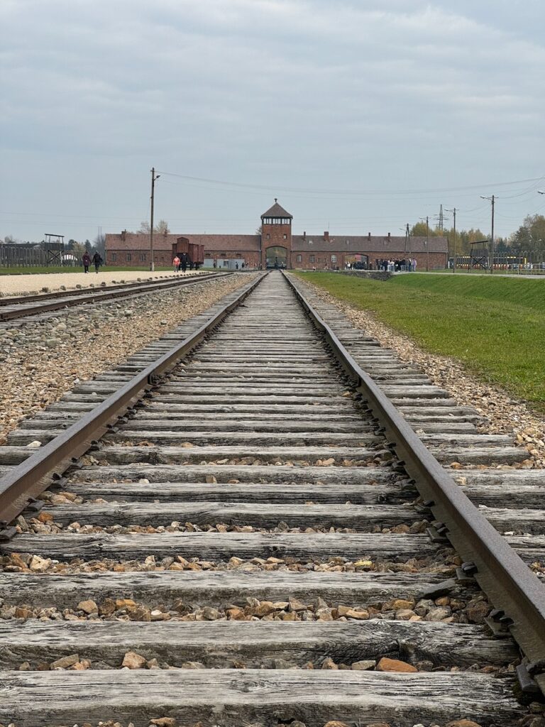 Poland article - 143